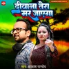 About Diwana Tera Mar Jayega Song